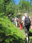 09.06.14. På tur mot Skibergfjell
